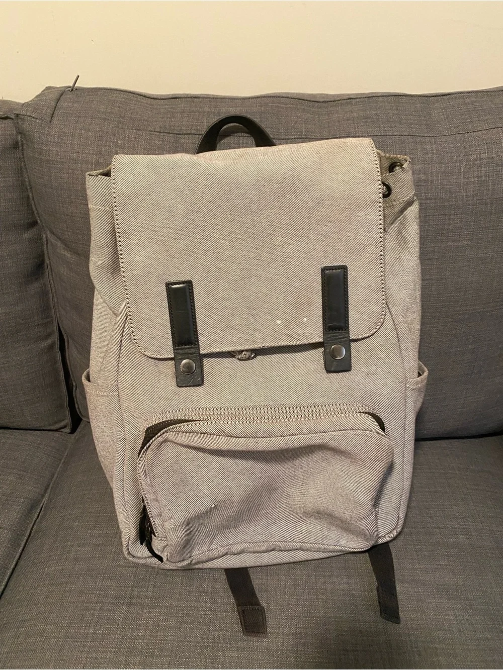 Everlane canvas backpack